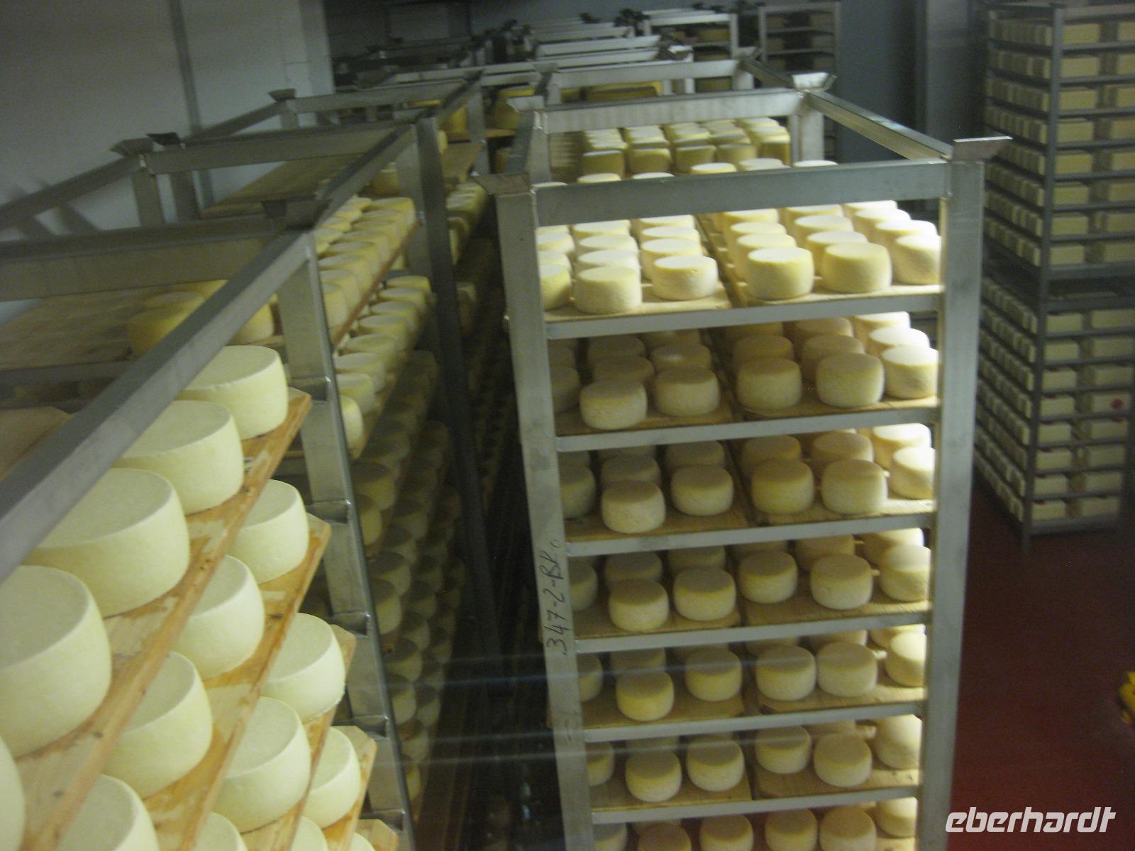 IMG_9116 Schaukäsere 