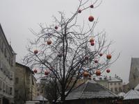 IMG_9178 Brixen - Domplatz