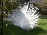 Lago Maggiore Isola Bella