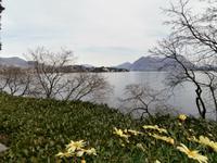 Lago Maggiore Isola Madre