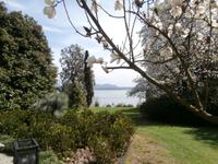 Lago Maggiore Isola Madre Magnolien