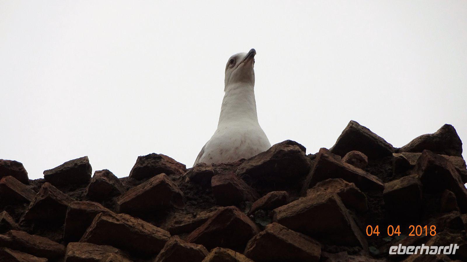 1-toller Ausblick vom Kollosseum