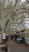 1_Markt am Tiber