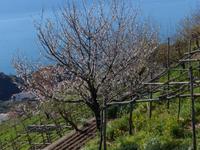 Valle delle Ferriere 4