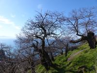 Valle delle Ferriere 5