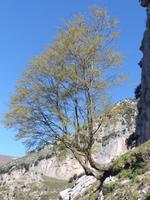 Valle delle Ferriere 10