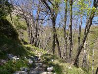Valle delle Ferriere 18