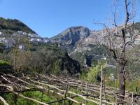 Valle delle Ferriere 22