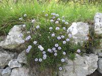 Auf dem Weg nach Campo