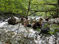 Italien, Cilento, Caloreschlucht 