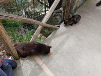 Italien, Wanderung auf dem Götterweg