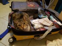 Katerbiene empfängt Mama Ria