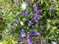 Italien, Wanderung zum Monte Stella