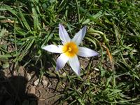 Italien, Wanderung zum Monte Stella