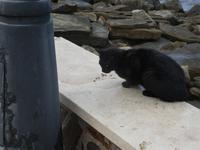 Italien, Wanderung Santa Maria nach Agropoli