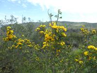Italien, Wanderung Santa Maria nach Agropoli