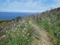 Italien, Wanderung Santa Maria nach Agropoli