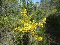 Italien, Wanderung Santa Maria nach Agropoli