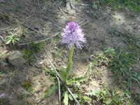 Italien, Wanderung Santa Maria nach Agropoli