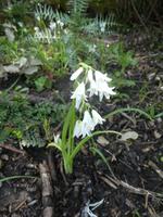 Italien, Wanderung Santa Maria nach Agropoli