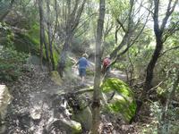 Italien, Wanderung Santa Maria nach Agropoli