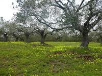 Italien, Wanderung Marina di Camerote zum Porto deigli Infreschi