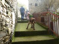 Italien, Cilento, Polica