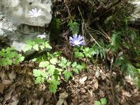 Italien, Cilento, Caloreschlucht 