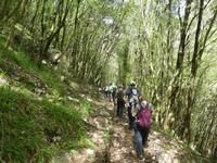 Italien, Cilento, Caloreschlucht 