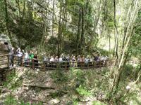 Italien, Cilento, Caloreschlucht 