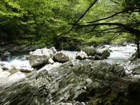 Italien, Cilento, Caloreschlucht