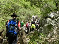 Italien, Cilento, Caloreschlucht 