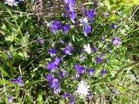 Italien, Cilento, Wanderung Monte Stella