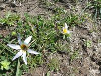 Italien, Cilento, Wanderung Monte Stella