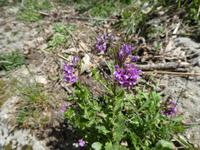 Italien, Cilento, Wanderung Monte Stella