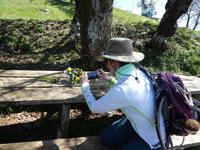 Italien, Cilento, Wanderung Monte Stella