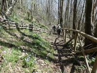 Italien, Cilento, Wanderung Monte Stella