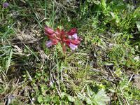 Italien, Cilento, Wanderung Monte Stella