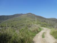 Italien, Cilento, Wanderung Monte Stella