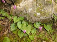 Italien, Wanderung auf dem Götterweg