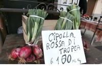 Tropea-Rote Zwiebeln