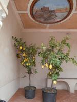 Tropea Marina dell'Isola