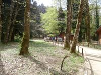 Serra San Bruno Wunschquelle Spaziergang