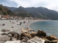 Scilla am Strand