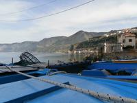 Scilla Fischerviertel