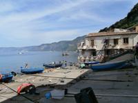 Scilla Fischerviertel