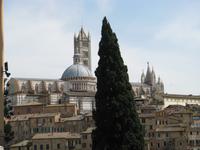 Siena - Blick auf den Dom