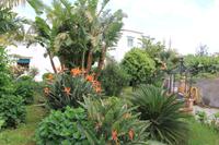 Schöne Gärten auf Capri