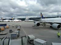 auf dem Frankfurter Flughafen