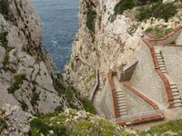 Capo Caccia - Rehleiter zur Neptunsgrotte